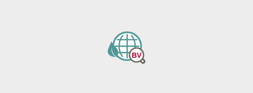 BV Advanced Environmental Audit